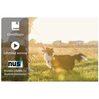 16 instead of 65 for an online dog behaviour training course from ofco ...