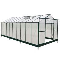 16ft x 8ft Extra Tall Polycarbonate Greenhouse | Waltons
