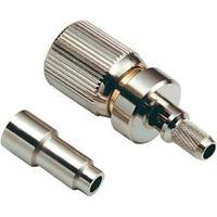 1.6/5.6 coax connector Plug, str...