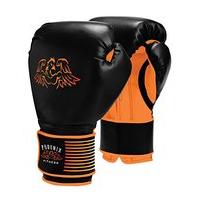 16oz Boxing Gloves