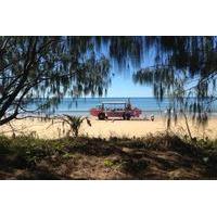 1770 coastline tour by larc amphibious vehicle including picnic lunch