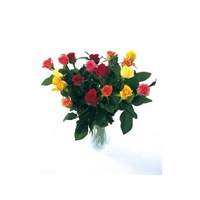 18 classic mixed roses