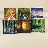 18 Woodland View Cards