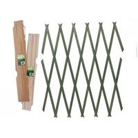 180cm x 60cm Brass Pinned Wooden Trellis