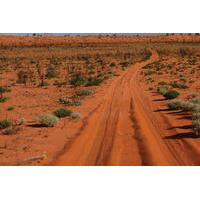 19-Day Canning Stock Route 4WD Expedition from Alice Springs