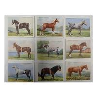 1939 complete set of 25 Types of Horses. John Player.