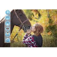 19 instead of 147 from centre of excellence for an online horse care a ...