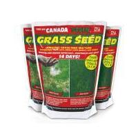 1kg Canada Green Grass Seed