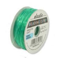 1mm Impex Plastic Elastic Stretch Cord Mint Green