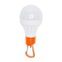 1W LED Orb Light