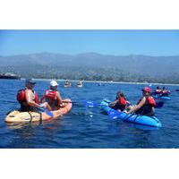 2 hour santa barbara fun paddle