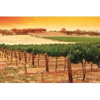 2-Day Barossa Valley and Hahndorf Tour from Adelaide