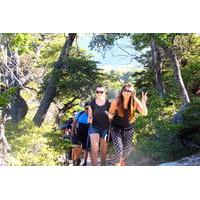 2-Day Private Hiking Tour to Altos de Lircay National Reserve