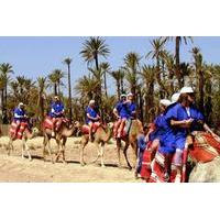 2 hour camel ride in marrakech