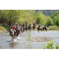 2-Hour Horseback Riding Experience in Marmaris