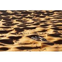 2 day private desert tour to zagora from marrakech with private luxury ...