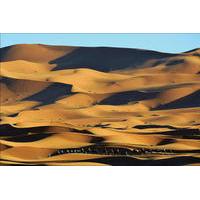 2 night merzouga desert tour from marrakech including camel ride and d ...
