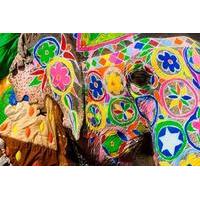 2 night jaipur including elephant ride from new delhi