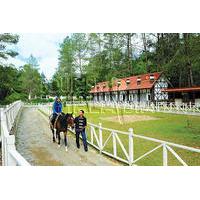 2-Hour Leisure Horse Riding Tour at Bukit Tinggi Berjaya Hills Including Selangor Pewter Tour