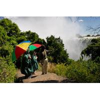 2-Hour Tour of the Victoria Falls