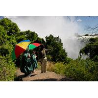 2 hour tour of the victoria falls