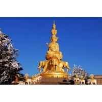 2-Day Leshan Giant Buddha and Emei Mountain High Speed Train Tour