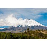 2 day andes tour from quito with avenue of the volcanoes train ride