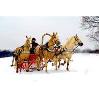 2 hour horse sledge tour from riga