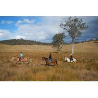 2 hour horse ride in howes valley