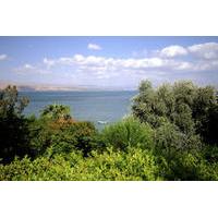 2-Day Northern Israel Tour from Tel Aviv: Golan Heights, Nazareth and the Sea of Galilee