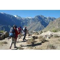 2-Day Colca Canyon Trek with Optional Hiking Experience