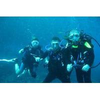 2-Dive Tour in Catalina Islands