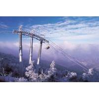 2-Day PyeongChang Ski and Cultural Tour Package