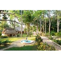 2-Day Tour from Cancun: Chichen Itza and Mayaland Resort