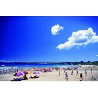 2-Day Kenting National Park and Kaohsiung City Tour with High-Speed Train Experience