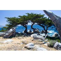 2 day monterey carmel and pebble beach tour from san francisco
