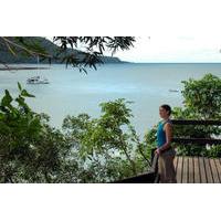 2 day cape tribulation and daintree rainforest small group tour from c ...
