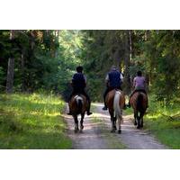 2 day horse riding tour in sredna gora from plovdiv
