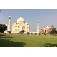2-Day Tour of Taj Mahal including Vising Elephant and Bear Resource Center