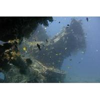 2 PADI Certified Dives at Tulamben from Bali