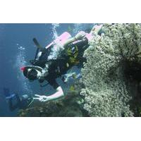 2 day padi advanced open water dive course in bali