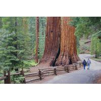 2 day yosemite national park tour from san francisco