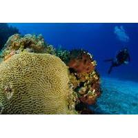 2 tank certified dive excursion in cozumel