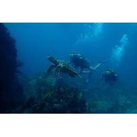 2 tank morning boat dive in st thomas