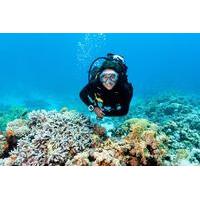 2 Tank Barrier Reef Scuba Diving at Silk Cayes