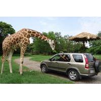 2 day tour auto safari chapn zoo and monterrico black sand beach from  ...