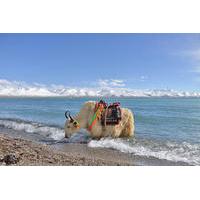 2-Day Small-Group Lake Namtso Experience from Lhasa