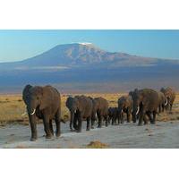 2 Days Amboseli National Park Safari