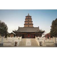 2 night best of xian tour terracotta warriors and city sightseeing wit ...