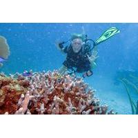 2 tank discover scuba diving in fajardo